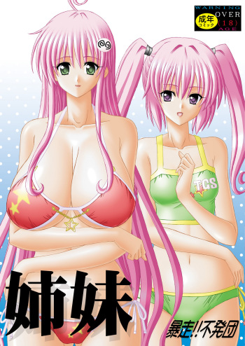 Shimai cover