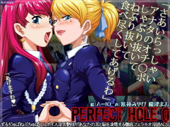 Perfect Hole Q cover