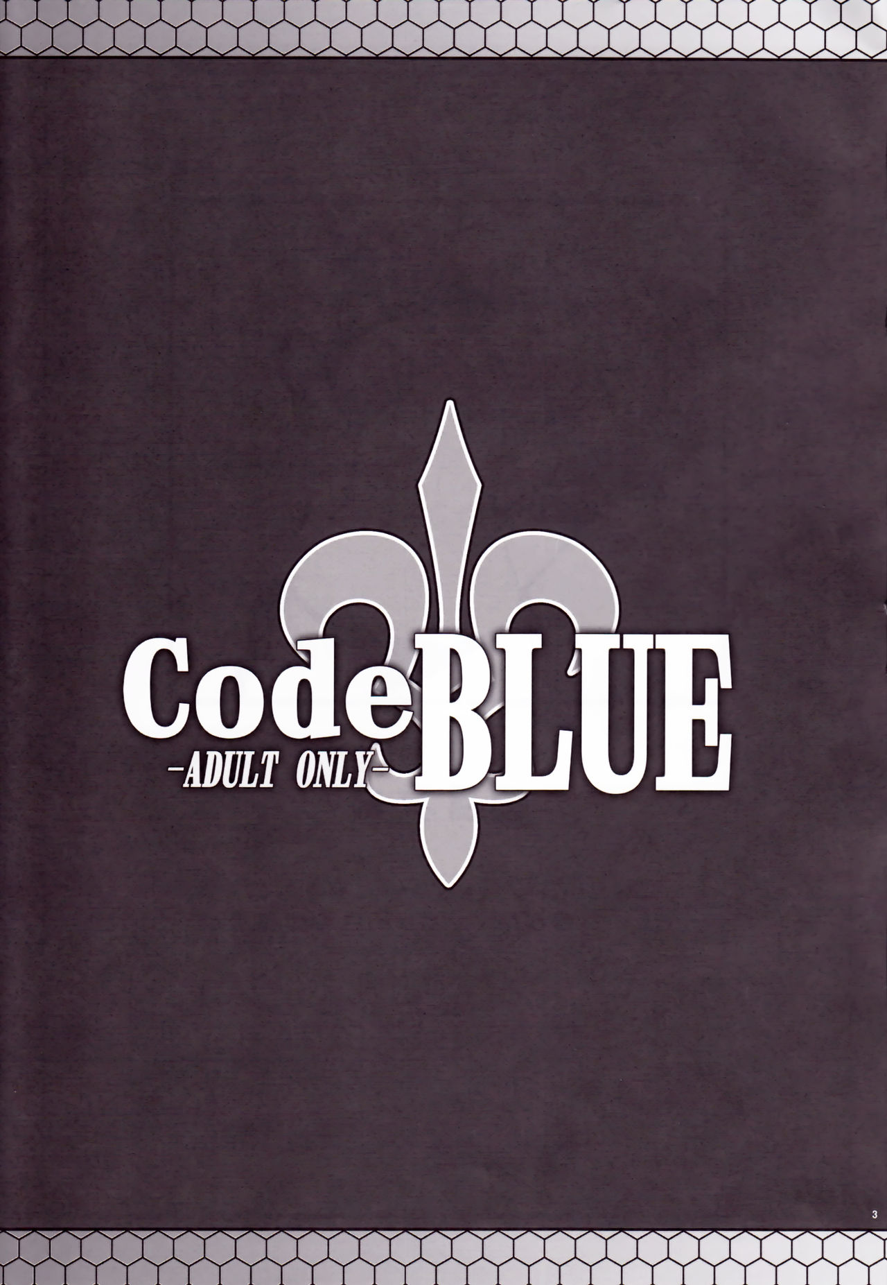 CodeBLUE page 3 full
