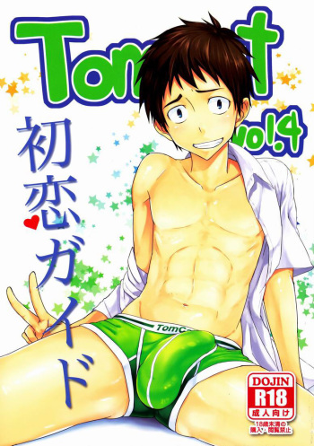 Hatsukoi Guide cover