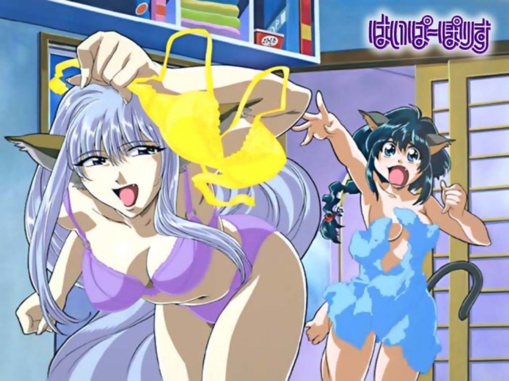 Catgirl Hentai Wallpaper page 2 full