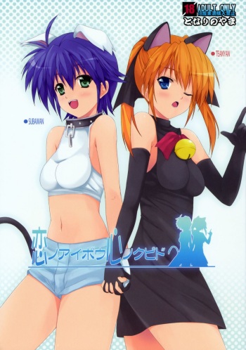 Ai no Aibou Kokoro no Cupid cover