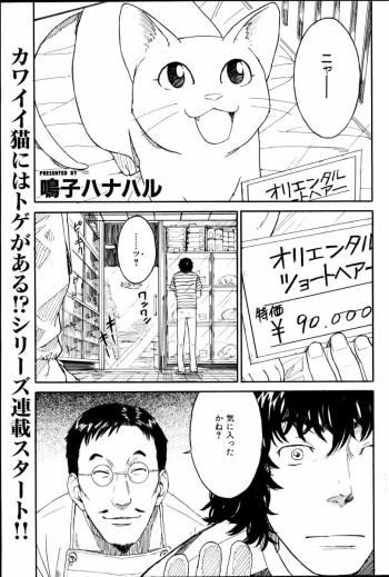 Nene Ch.1-8 cover