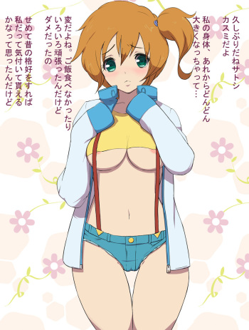 Misty Series cover