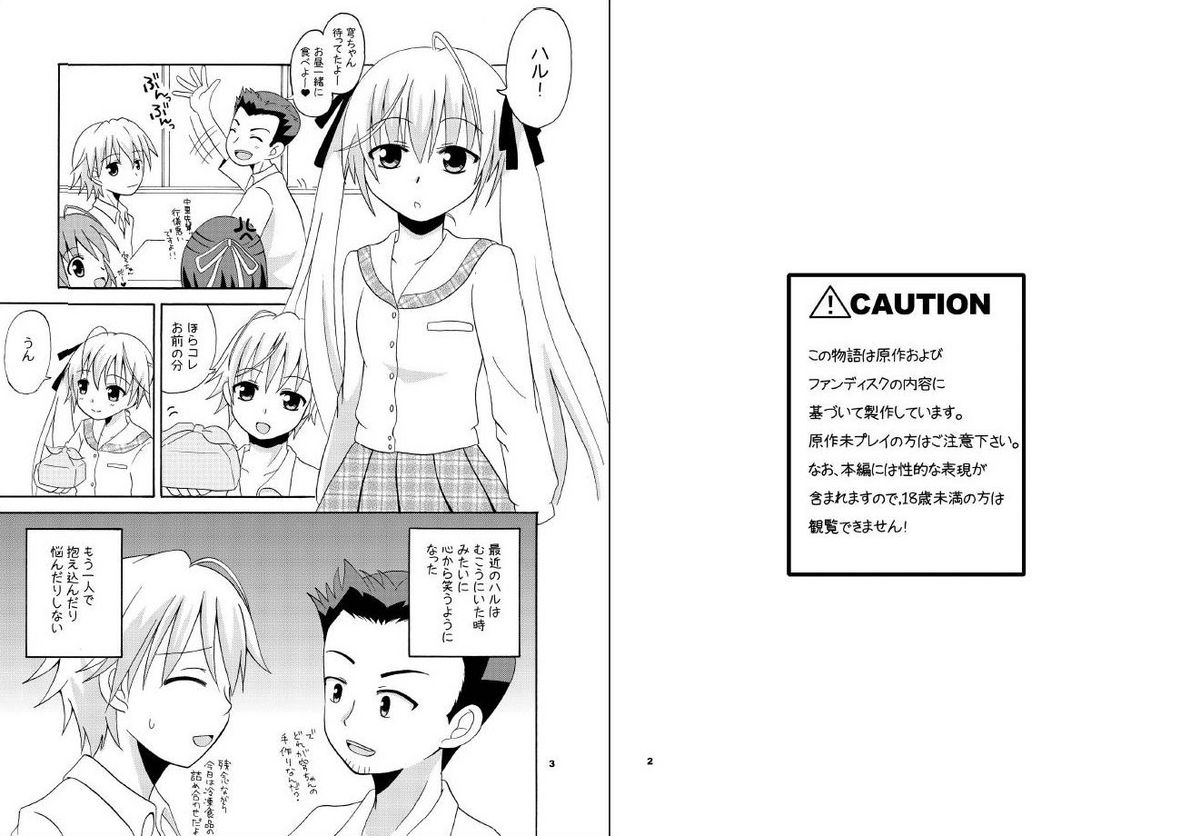 Sora Ai page 3 full