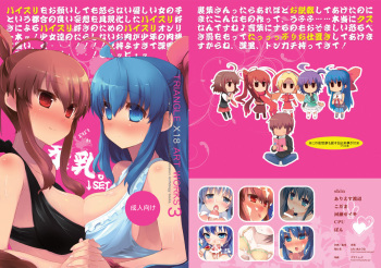 TRIANGLE X18 ART WORKS 3 cover