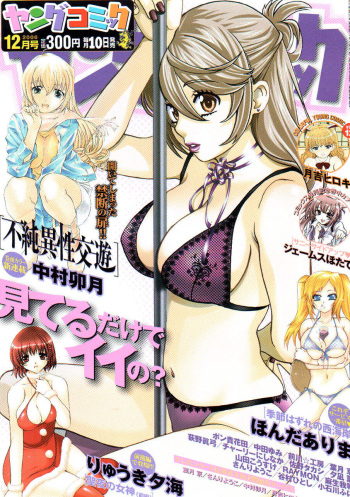Young Comic 2006-12 cover
