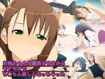 Onee-chan ga Josou Saseru Kara Motemote de Chinchin Hoshiku Nacchatta cover