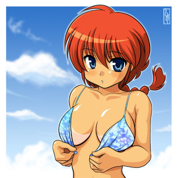 Ranma Huge Collection Part1 cover