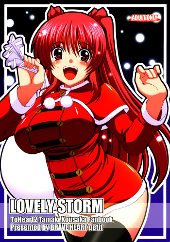 LOVELY STORM cover