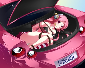My big hentai collection 1 cover