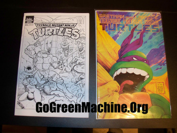 The Birds, The Bees and the Turtles! cover