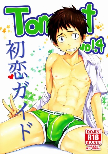 Hatsukoi Guide cover