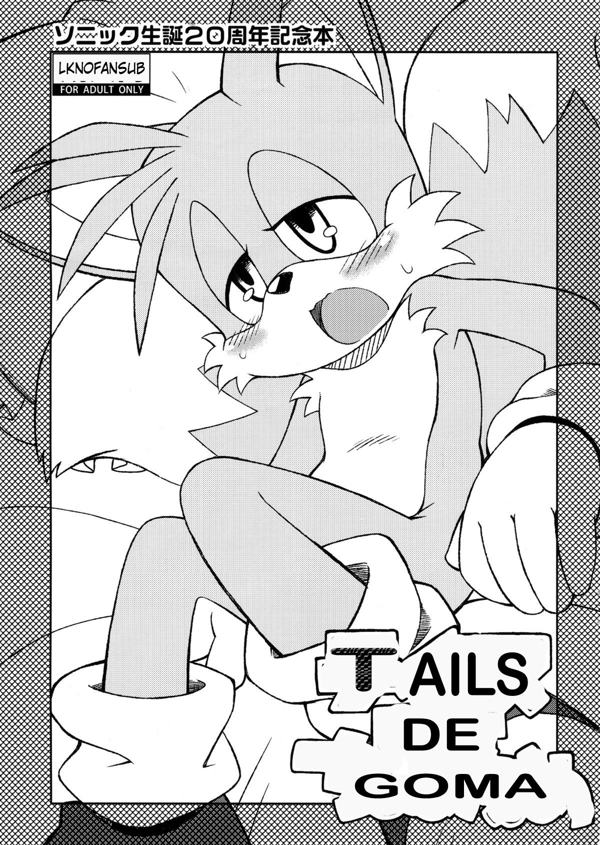 Tails Of Chomechome  LKNOFansub page 1 full
