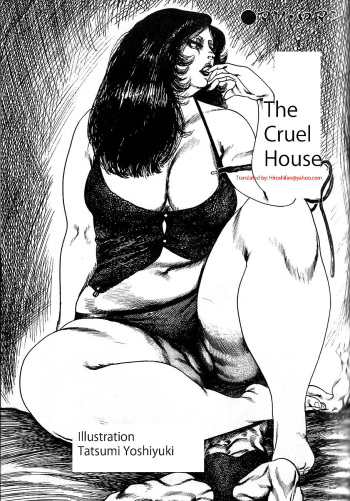 The Cruel House cover