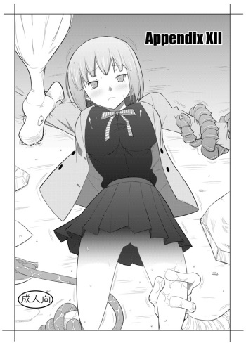 APPENDIX XII cover