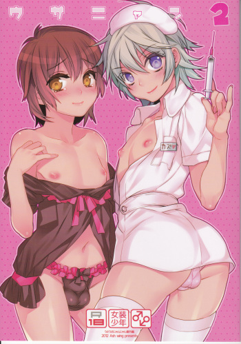 Usa Nyan 2 cover