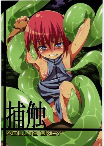 Hoshoku cover