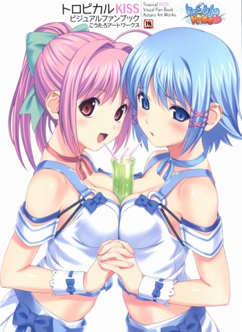 Tropical KISS Visual Fan Book - Koutaro Art Works cover