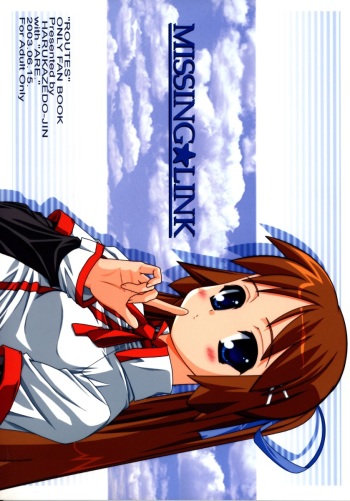 Missing Link cover
