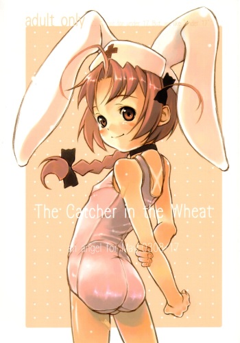 The Catcher in the Wheat cover