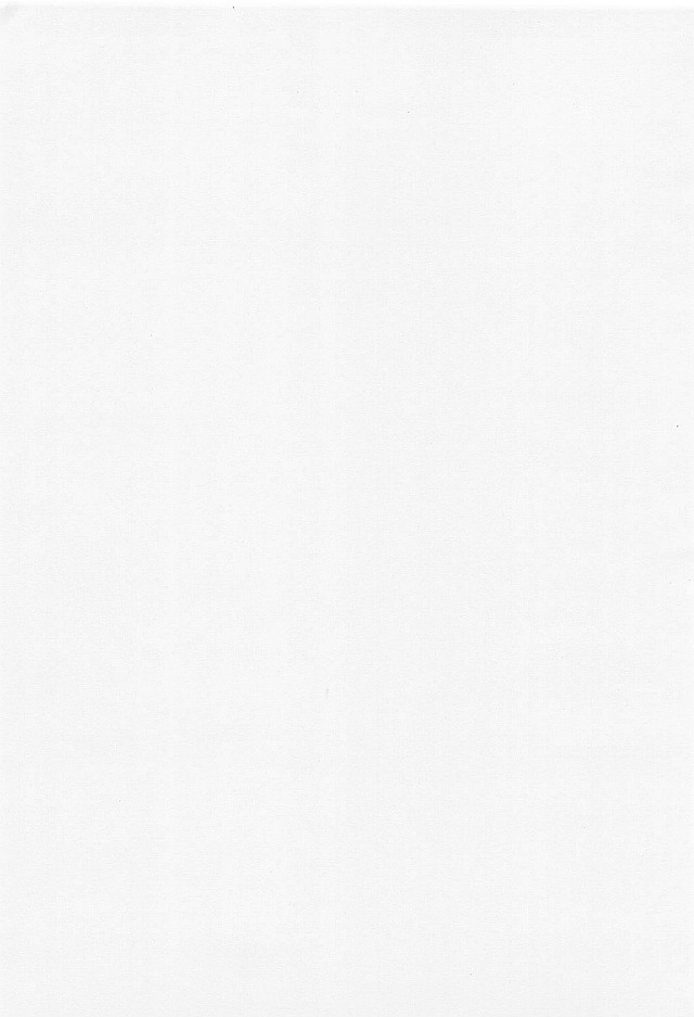 Hitotsu Han page 2 full