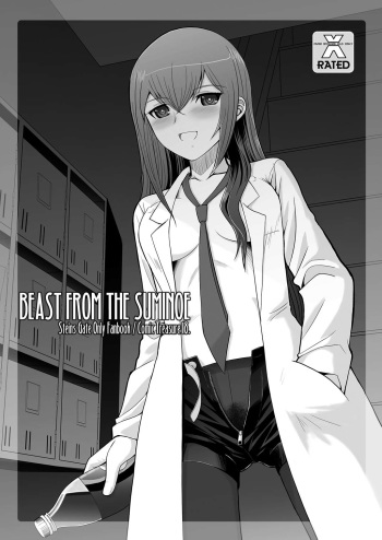 BEAST FROM THE SUMINOE cover