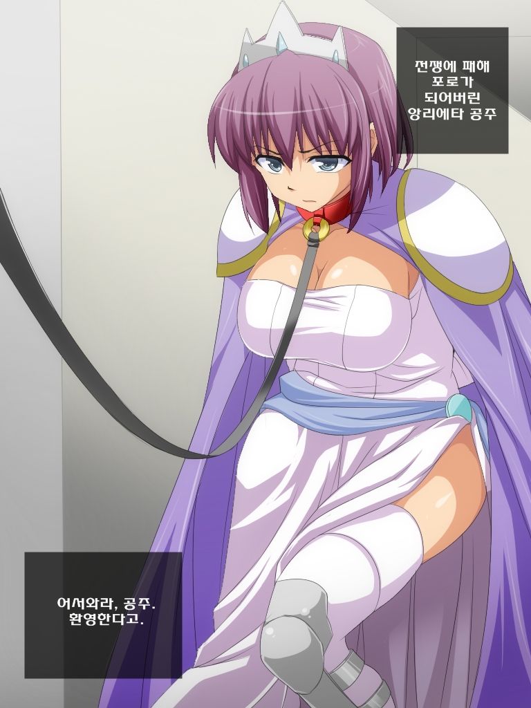 Royal Bitch o Niku Dorei ni Suru CG shuu page 3 full