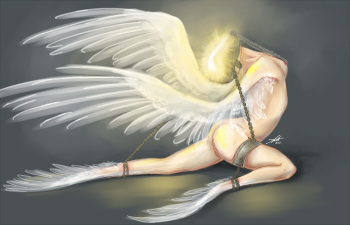Angel Collection cover