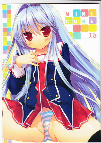 MINICUBE cover