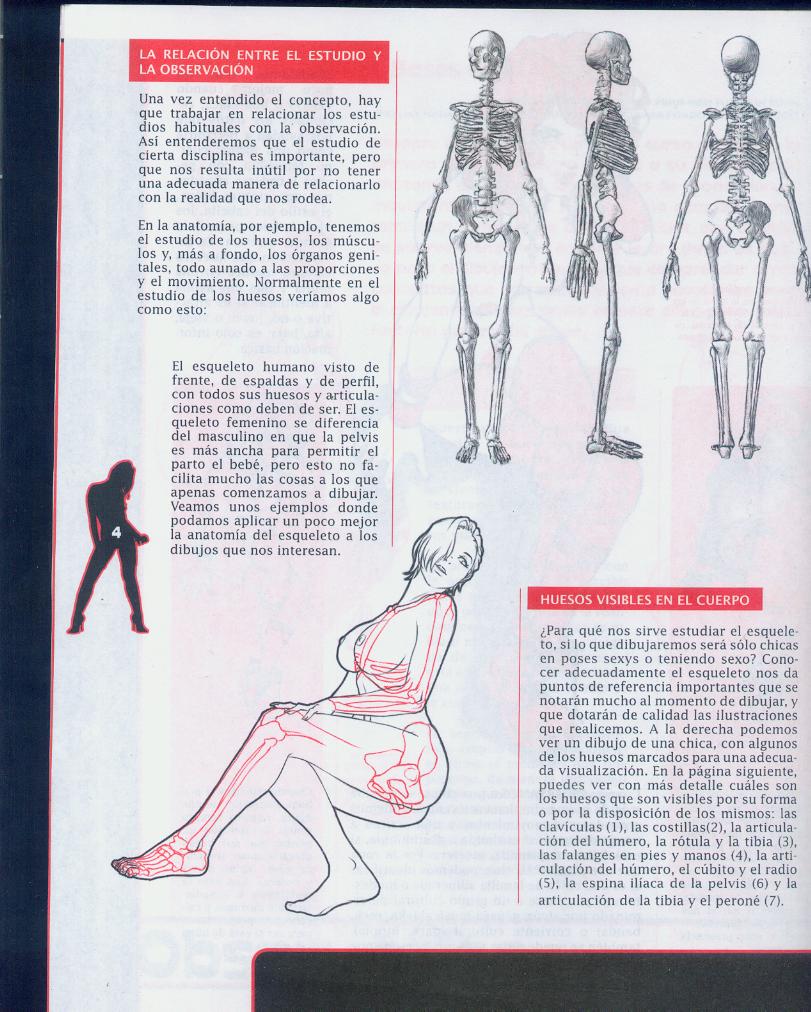 Dibujando Hentai Nueva Edici&oacute;n, vol.1 page 7 full