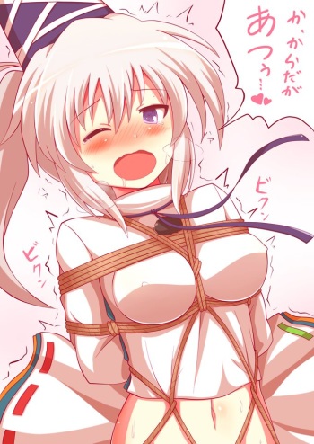 如月ツヴァヰ cover