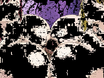 Boin Lecture cover