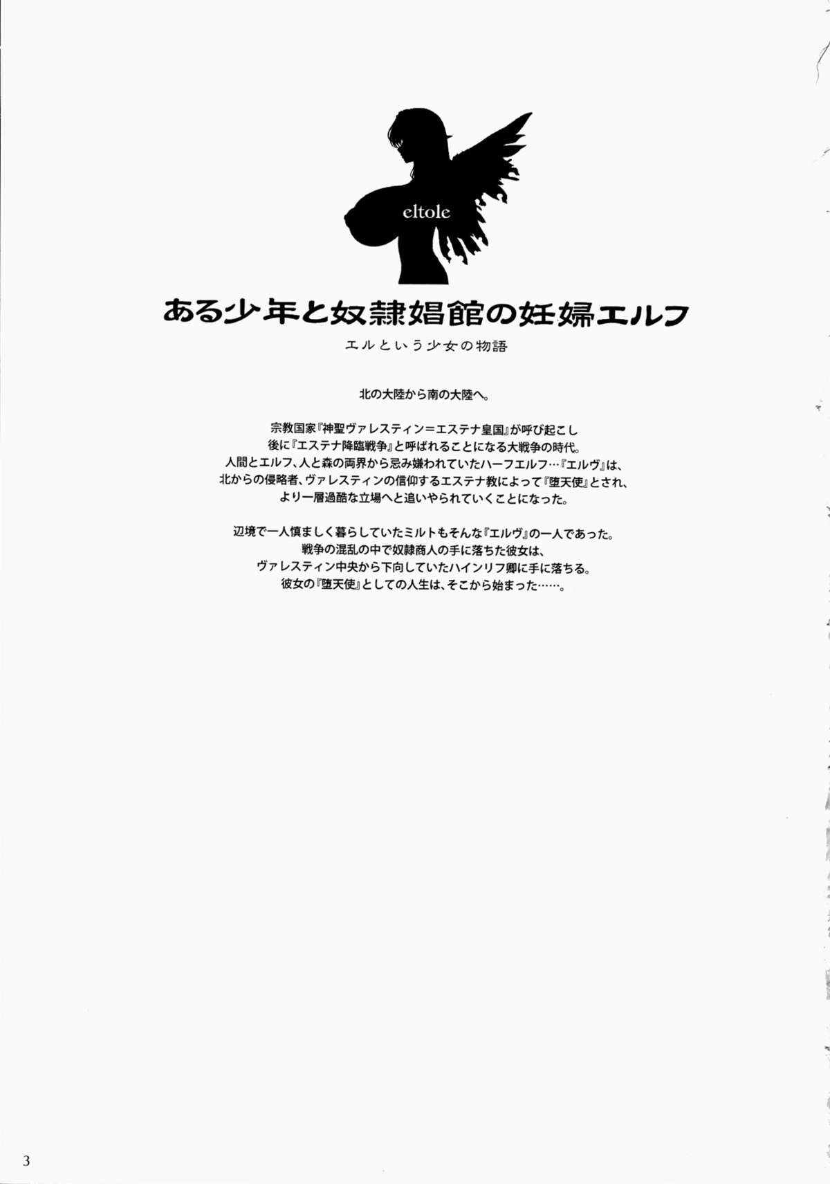 Aru Shounen to Dorei Shoukan no Ninpu Elf page 3 full