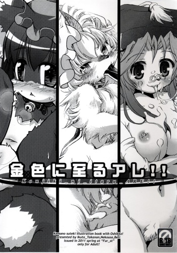 Konjiki ni Itaru Are!! cover