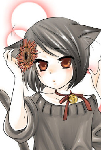 Yukino Minato  Image set cover