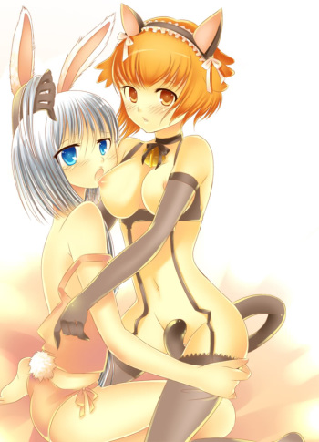 Neko compilation 1 cover