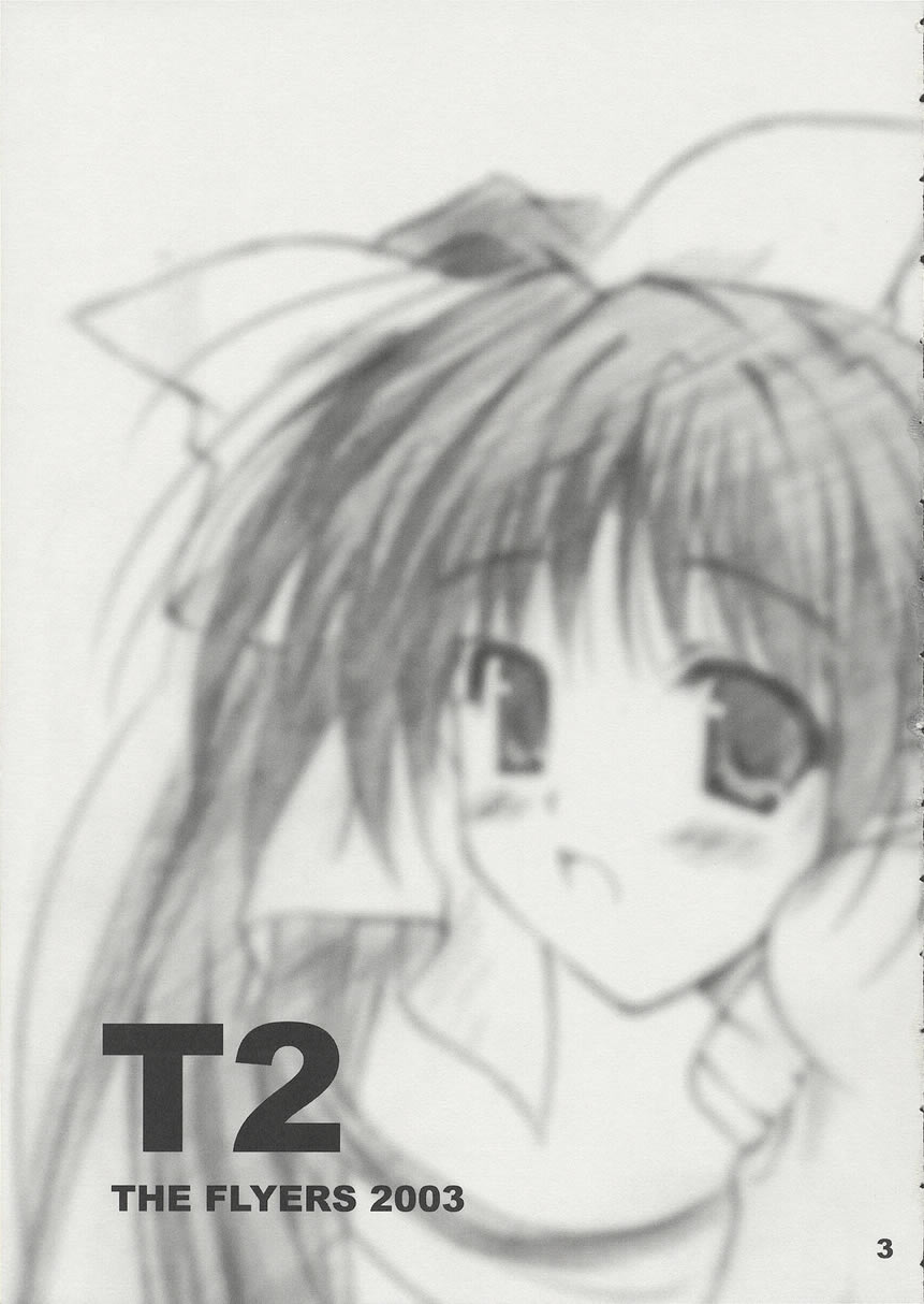 T2 page 2 full