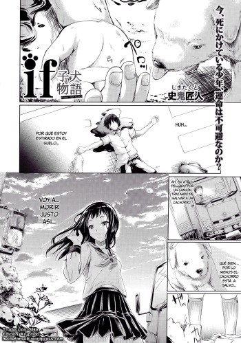 IF  | IF cover