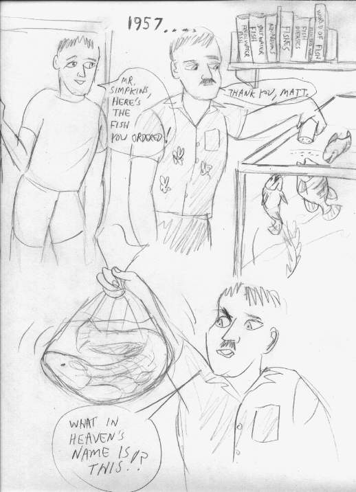 Wels page 2 full