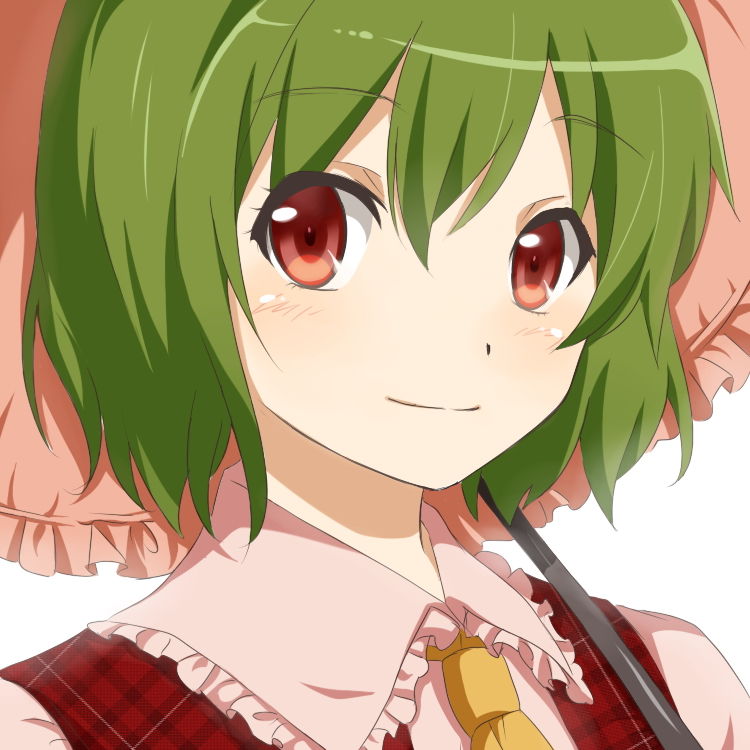 Touhou project--kazami yuuka page 3 full