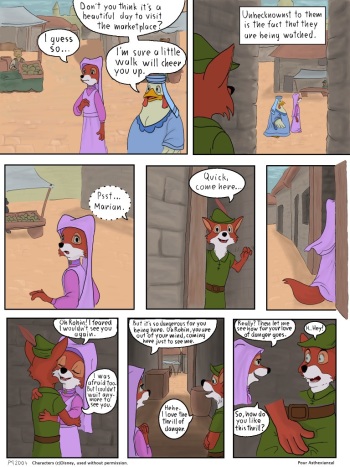 Robin Hood cover