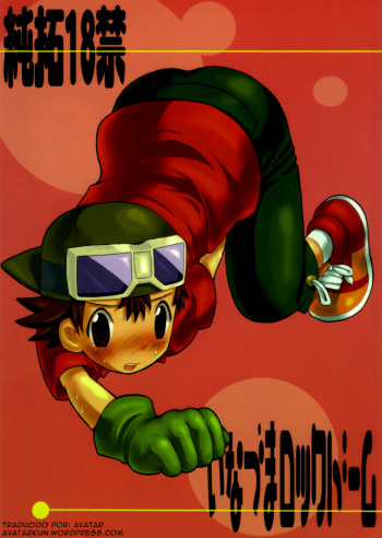 Inazuma Rock Dome cover