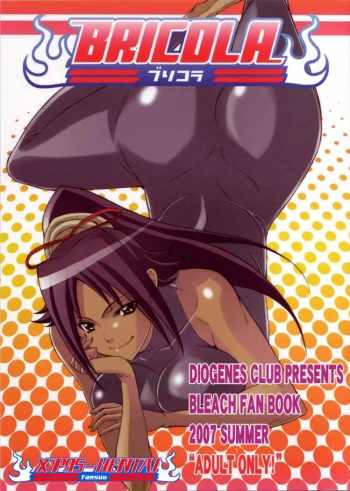 BRICOLA cover