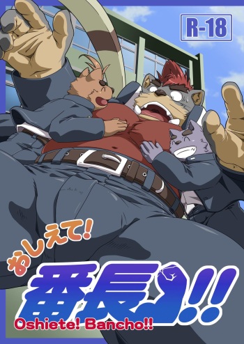 Oshiete! Bancho!! cover