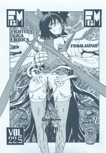 FIGHTERS GIGAMIX FGM Vol. 22.5 cover