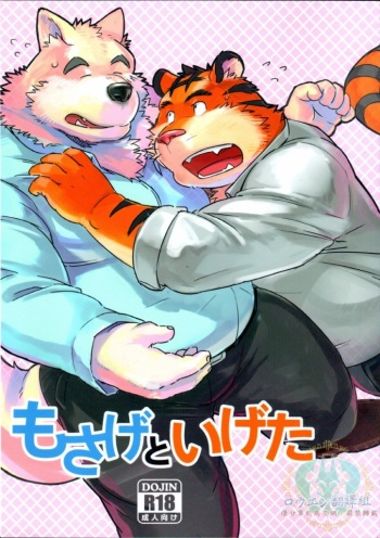Mosage to Igeta cover