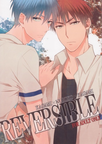 REVERSIBLE cover