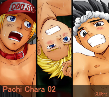 Pachi Chara 02 cover