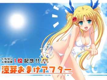 Chokotto! Fan Disc 2 cover